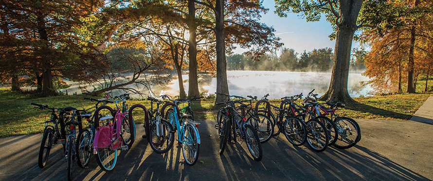 Bikes at Campus Lake
