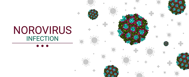 Norovirus