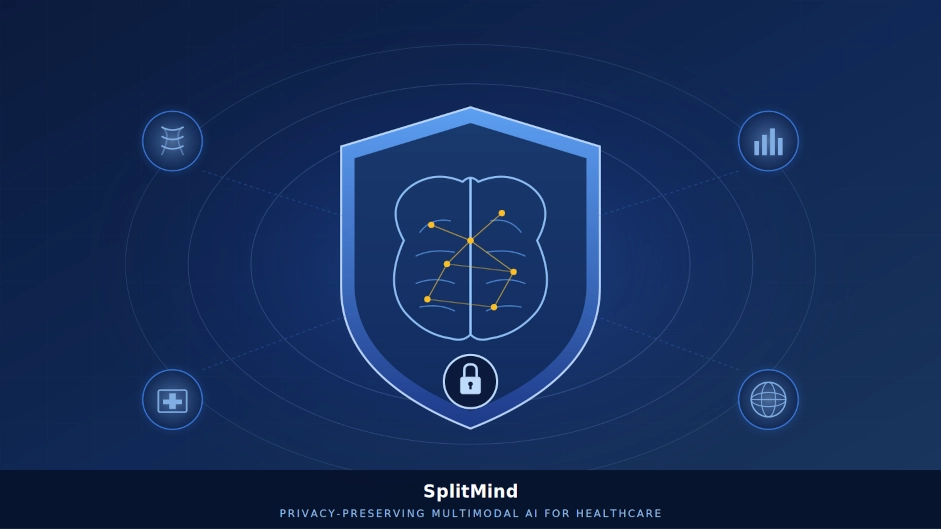 Privacy-Preserving Medical AI image