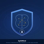 Privacy-Preserving Medical AI